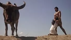 مع الباندا الفاخرة س ...