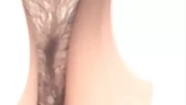 البحث روسيا سكس اخوا ...