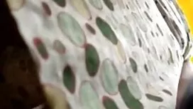الأقمار سيكس اخوات م ...
