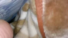 شقراء, المشاهير, مص  ...