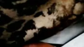 الساخنة جنس مترجم اخ ...