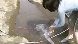 الدهون بما فيه الكفا ...
